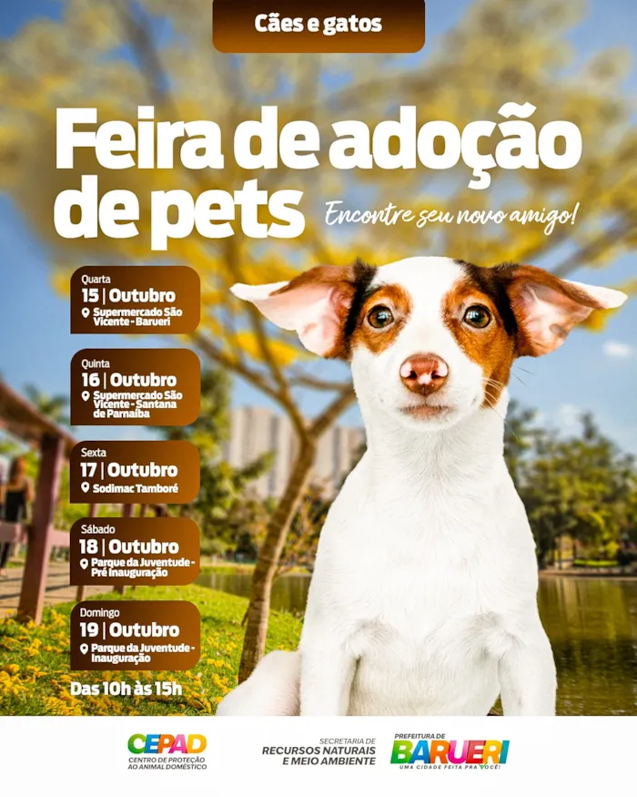 Feira de Adoção de Pets em Barueri: Encontre seu novo melhor amigo! Participe de 15 a 19 de Outubro em diversos locais. Cães e gatos esperam por você!