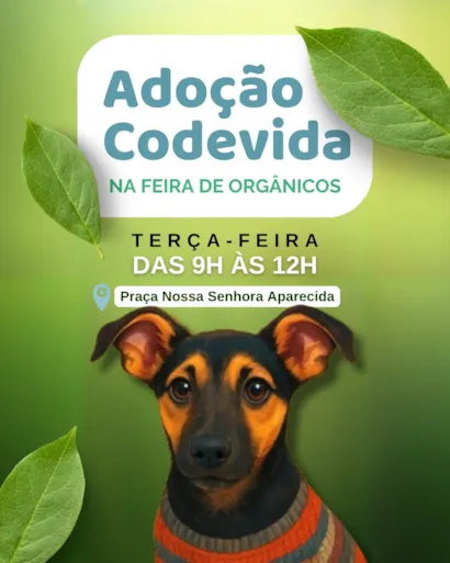 Adoção na Feira de Orgânicos com a Codevida