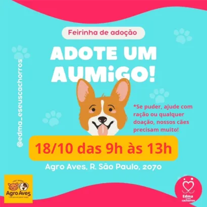 Feirinha de Adoção "Adote um AUmigo!" na Agro Aves