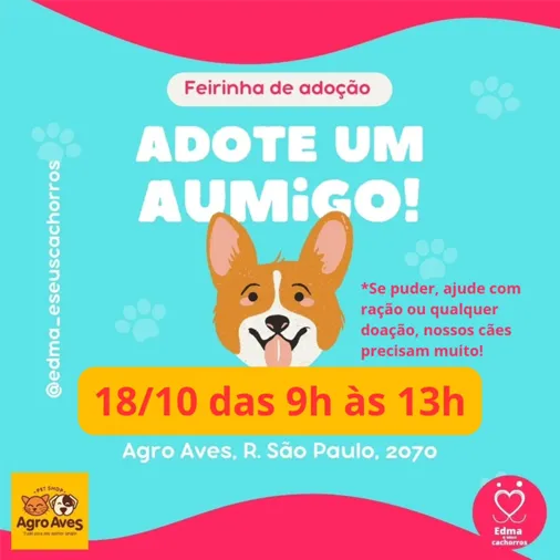 Feirinha de Adoção "Adote um AUmigo!" na Agro Aves