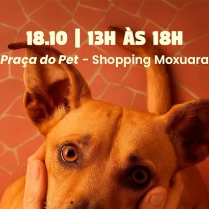 Feira de Adoção do É o Bicho!