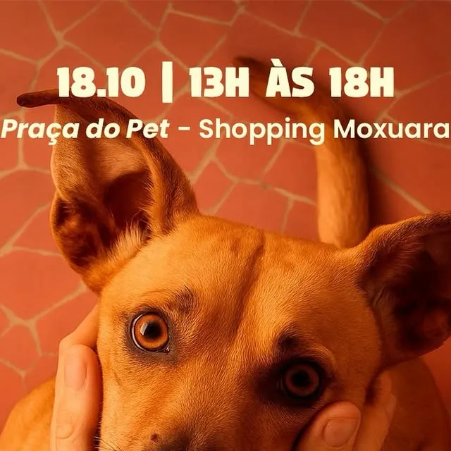 Feira de Adoção do É o Bicho!