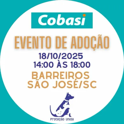 Feira de Adoção Proteção Unida