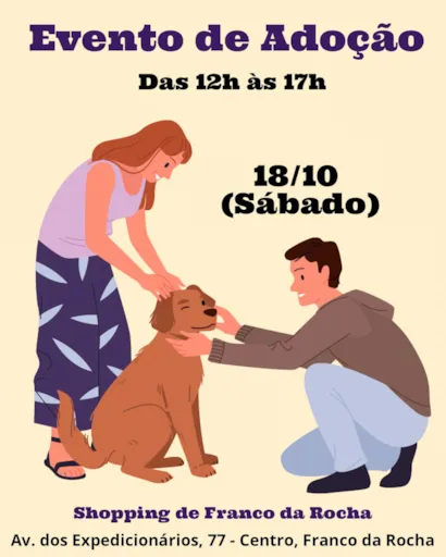 Evento de Adoção de Animais