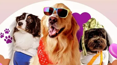 Pet Fashion Day agita Nova Friburgo com desfile e feira de adoção