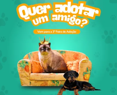 3ª Feira de Adoção de Pets em Palmeira das Missões