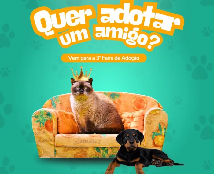 3ª Feira de Adoção de Pets em Palmeira das Missões
