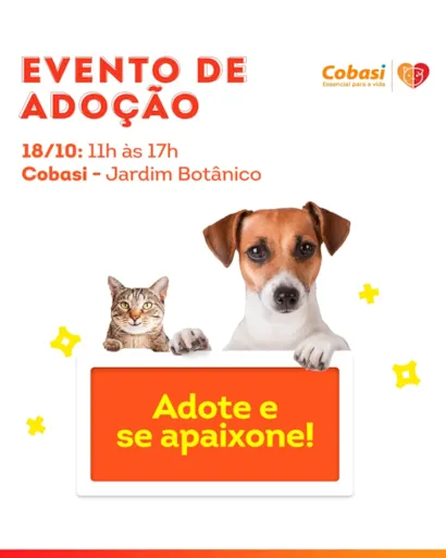 Evento de Adoção Projeto Acalanto DF