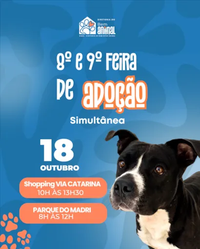 8ª e 9ª Feira de Adoção de Cachorros Simultânea