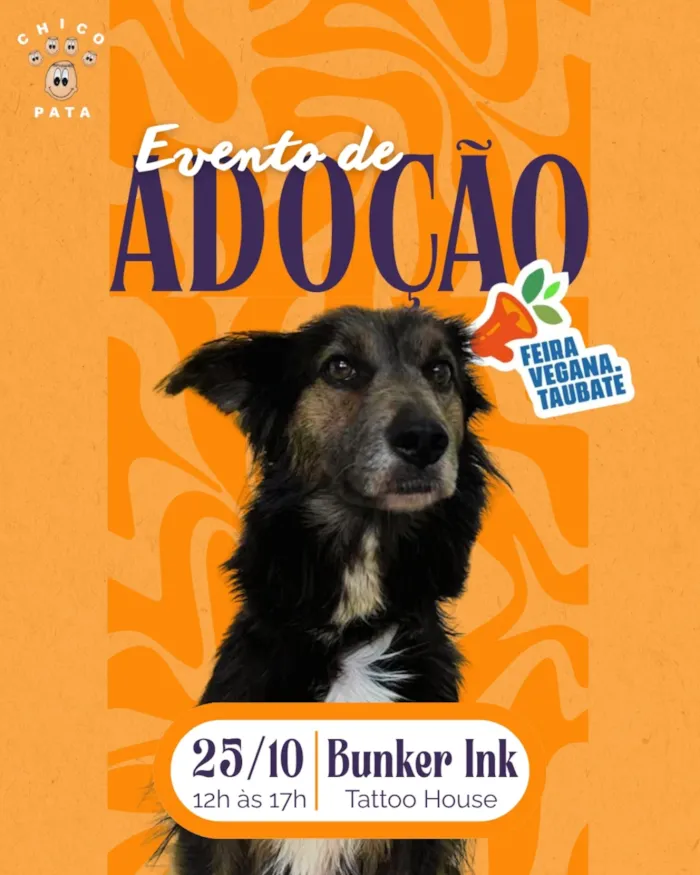 Chico Pata e Feira Vegana Taubaté promovem evento de adoção especial em 25/10, das 12h às 17h, no Bunker Ink Tattoo House. Encontre seu novo amigo!