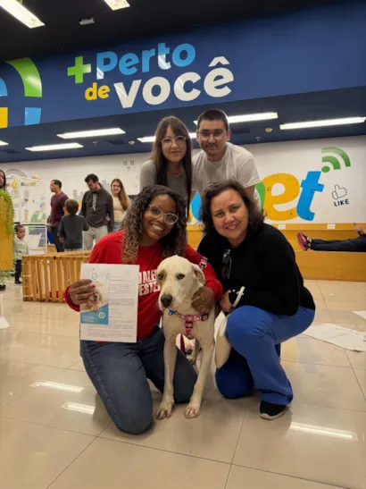 Sucesso na Adoção de Animais: 21 Patinhas Encontraram Lares!