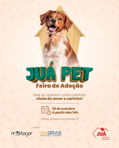 Jua Pet: Feira de Adoção