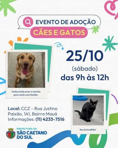 Evento de Adoção de Cães e Gatos