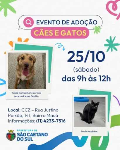 Evento de Adoção de Cães e Gatos