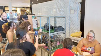 Feira de Adoção e Vacinação no Praça Nova Araçatuba