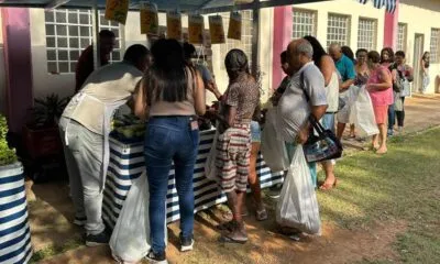 Feira de Adoção de Animais em Jundiaí - Encontre seu Novo Companheiro