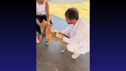 Outubro Rosa Pet: Vacinação, Feira de Adoção e Orientação sobre Câncer em Animais