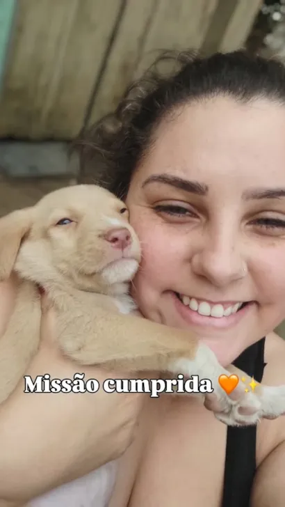 História Feliz: Bob Encontra Sua Família!