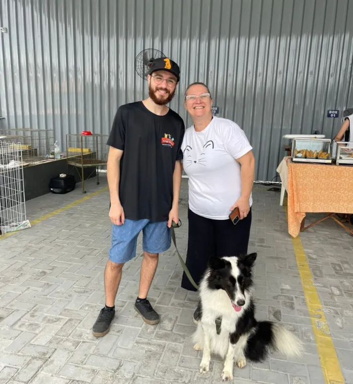 11ª Feirinha Beneficente de Timbó: Um Sucesso de Adoções e Solidariedade