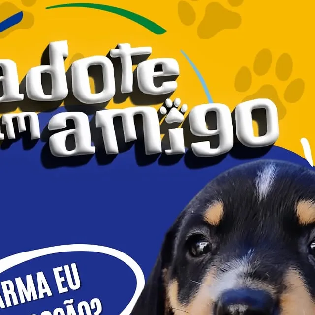 Feira de Adoção e Microchipagem de Animais em Taubaté