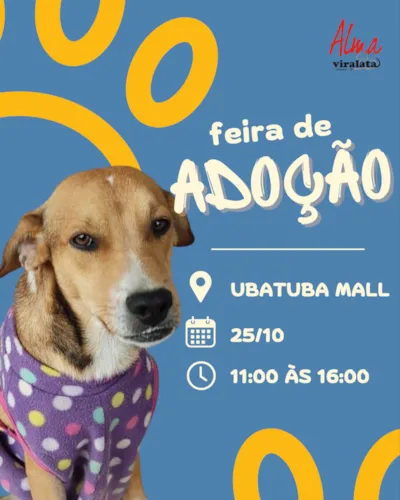 Feira de Adoção Alma Vira-Lata