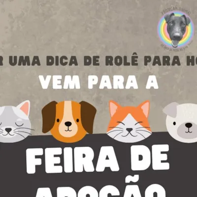 Feira de Adoção de Animais em Pinhais