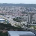 Feira de Adoção de Pets marca Dia de Finados em Natal