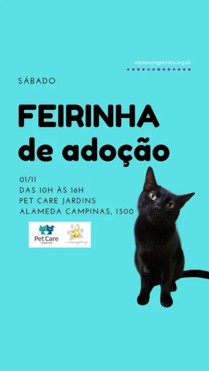 Feirinha de Adoção de Gatinhos
