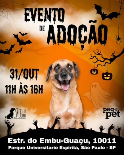 Evento de Adoção de Cães