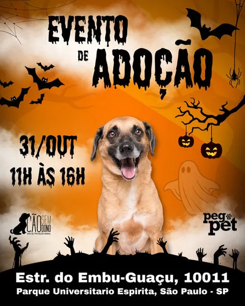 Evento de Adoção de Cães