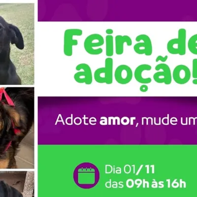 Feira de Adoção: Adote Amor, Mude um Lar!