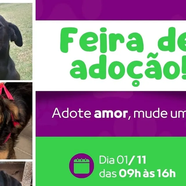 Feira de Adoção: Adote Amor, Mude um Lar!