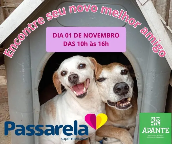 Apante promove feira de adoção neste sábado no Supermercado Passarela