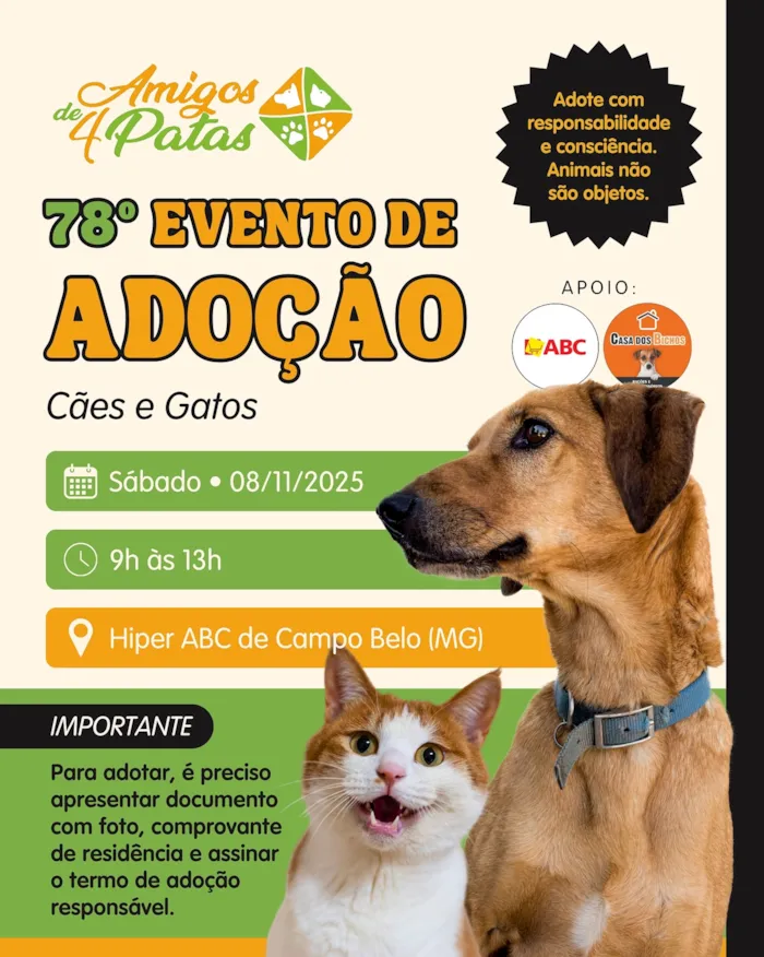 78º Evento de Adoção de Cães e Gatos - Amigos de 4 Patas
