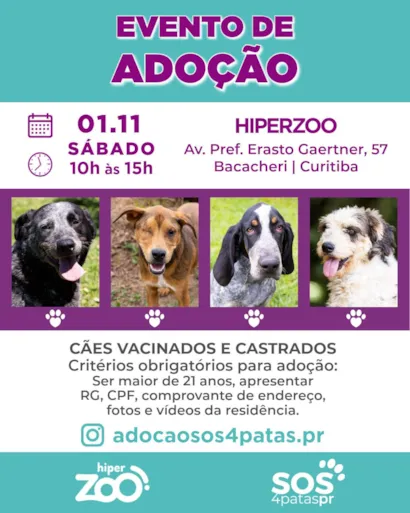 Evento de Adoção SOS 4 Patas Paraná