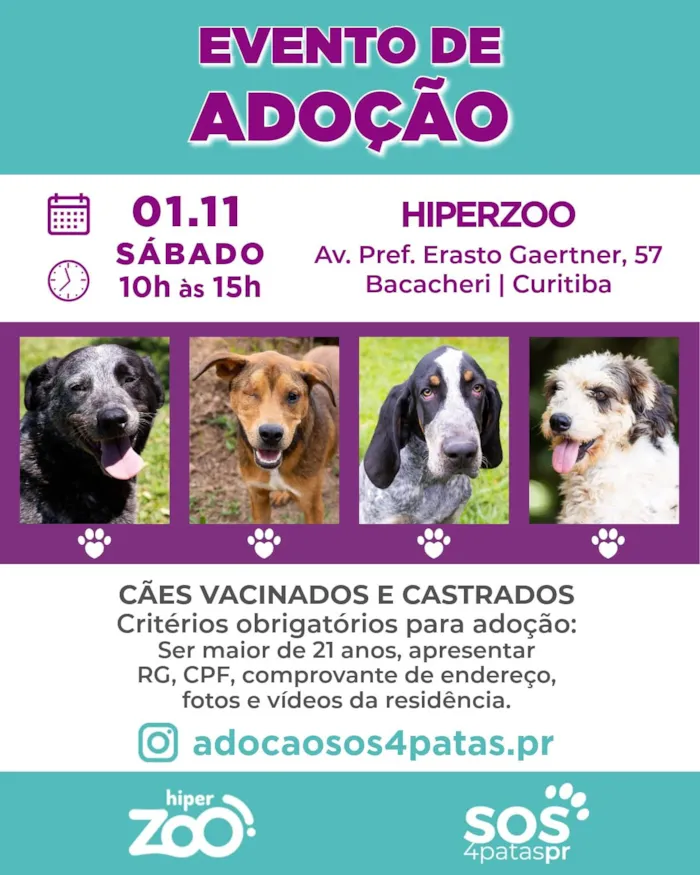 Evento de Adoção SOS 4 Patas Paraná