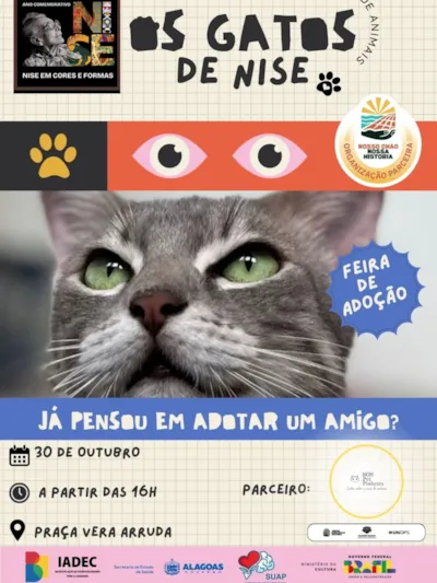 Feira de Adoção 🩷💙🤍