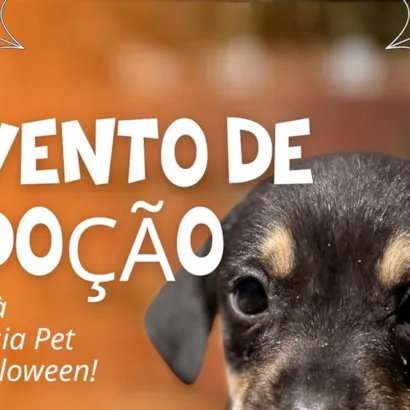 Evento de Adoção FERA na Festa à Fantasia Pet da MasterClin!