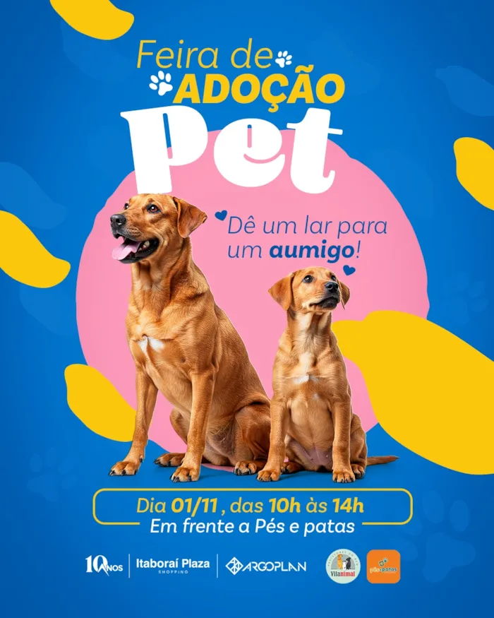 Venha para a Feira de Adoção Pet no Itaboraí Plaza e encontre um novo amigo! Dia 01/11, das 10h às 14h. Em frente à Pés e Patas.