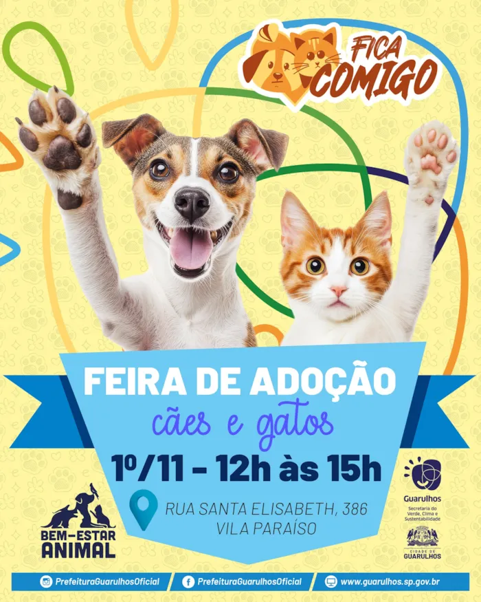Participe da Feira de Adoção de Cães e Gatos em Guarulhos neste sábado, 1/11, das 12h às 15h. Encontre seu novo amigo na R. Santa Elisabeth, 386, Vila Paraíso.
