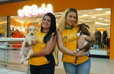Feira de Adoção Pet no Shopping Metropolitano Barra
