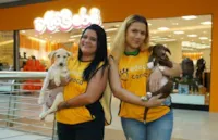 Feira de Adoção Pet no Shopping Metropolitano Barra