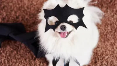 Cãolloween: Diversão, Cultura e Adoção de Pets em Ribeirão Preto!