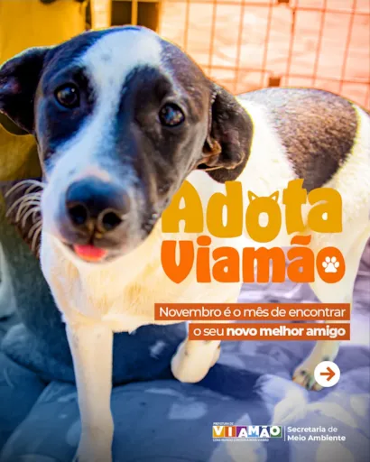 Feira de Adoção em Viamão!