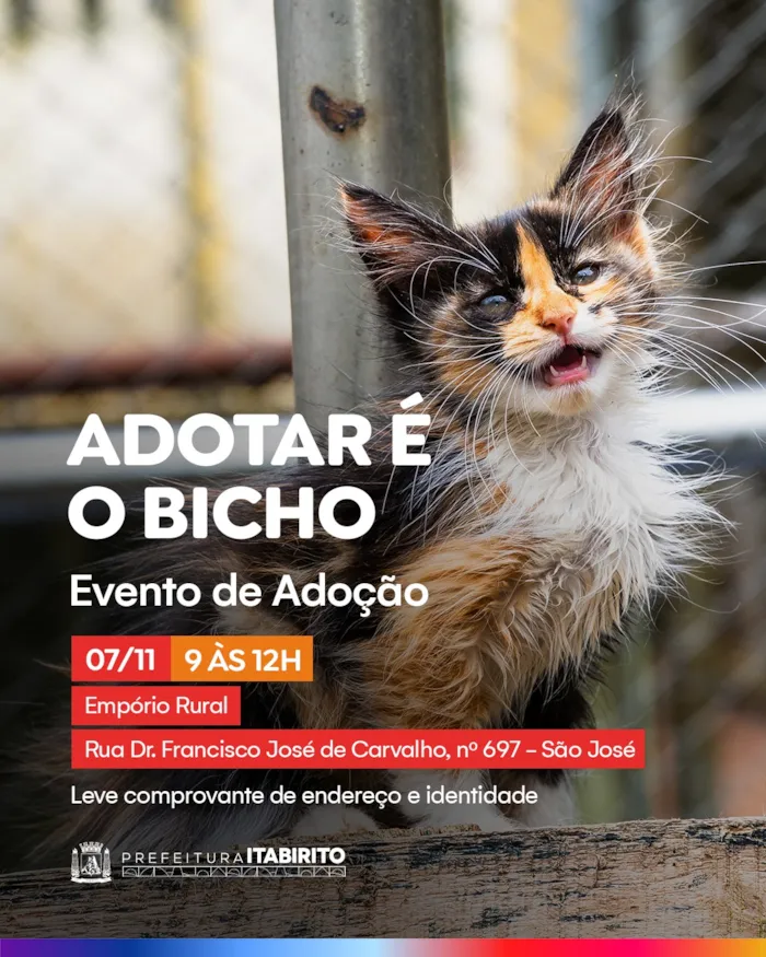 Participe da Feira de Adoção em Itabirito no dia 07/11, das 9h às 12h, no Empório Rural. Adote um amigo e receba muito amor! Leve documentos.