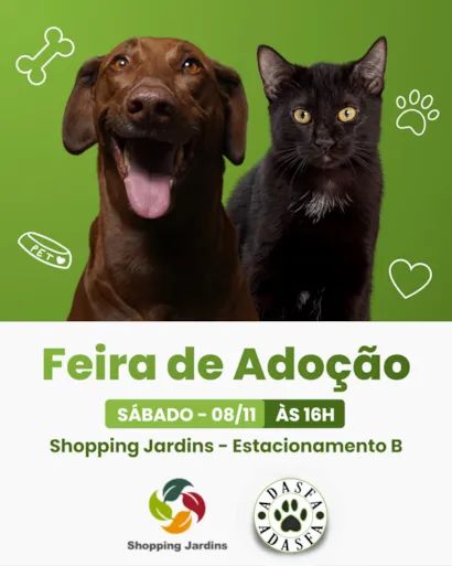 Feira de Adoção Adasfa Sergipe