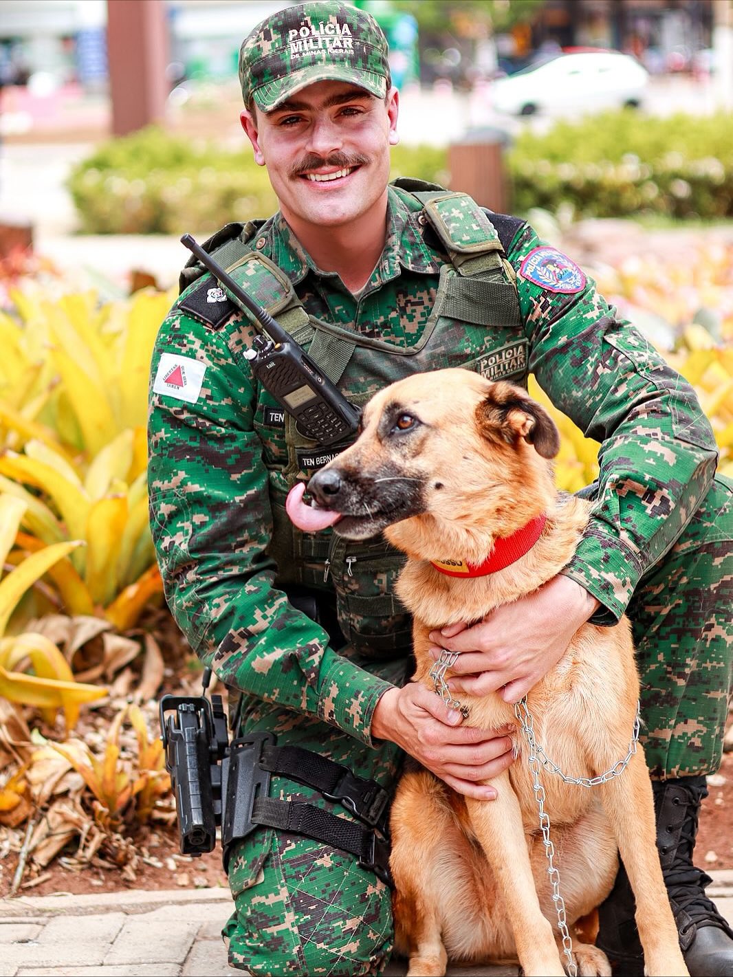 Feira de Adoção em Itabirito MG