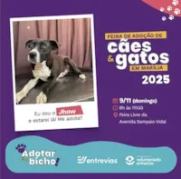 Feira de Adoção de Cães e Gatos em Marília