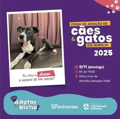 Participe da Feira de Adoção de Cães e Gatos em Marília neste domingo, 9 de novembro, na Feira Livre da Av. Sampaio Vidal. Adote um animal resgatado pela Entrevias.