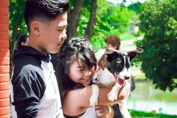 Feira de Adoção de Animais da Saau no Lago Aratimbó em 16 de novembro. Encontre seu novo amigo e aprenda sobre adoção responsável. Saiba mais!